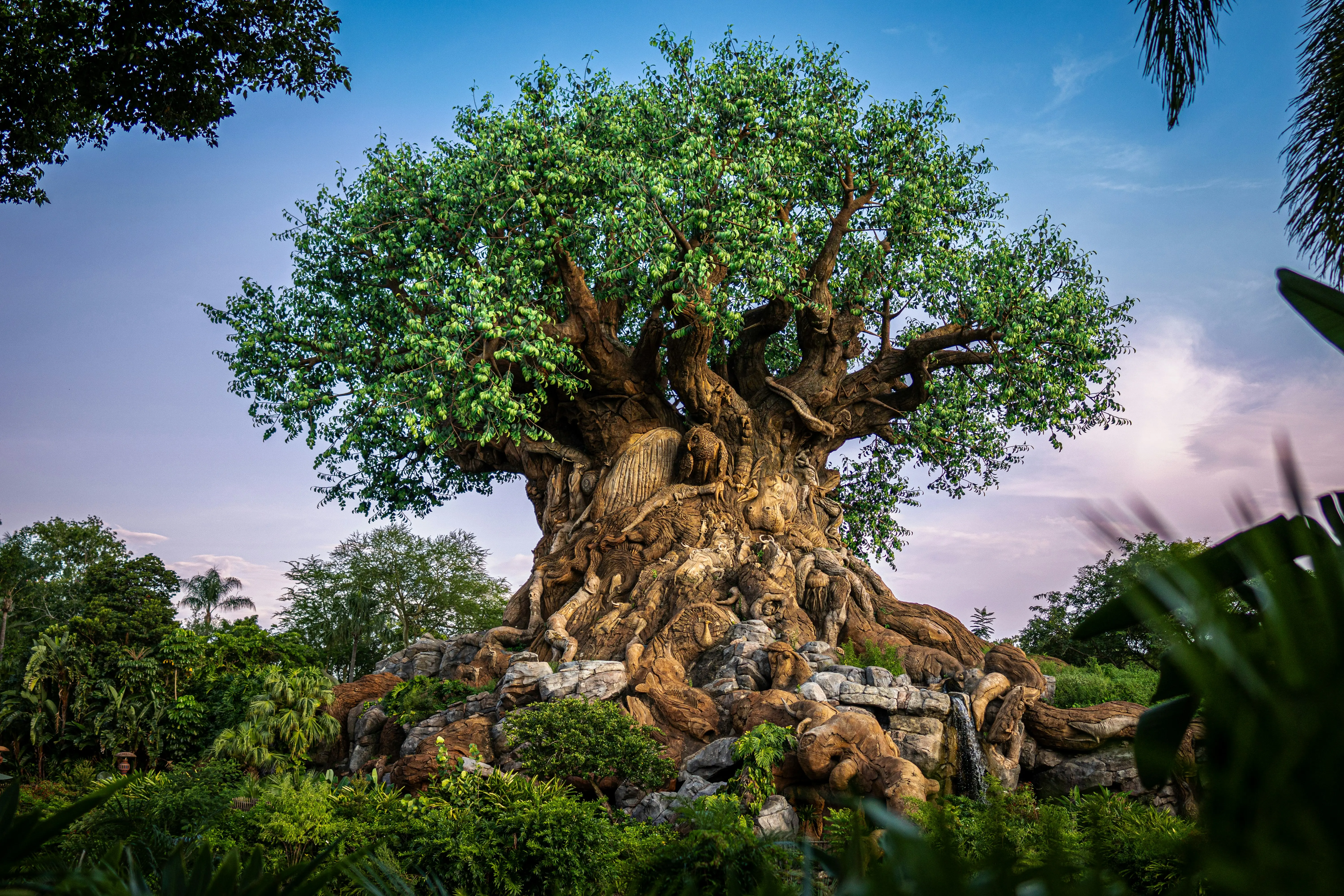 Animal Kingdom en Disney World